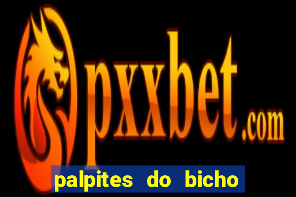 palpites do bicho no celular