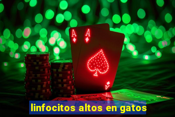 linfocitos altos en gatos