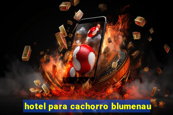 hotel para cachorro blumenau