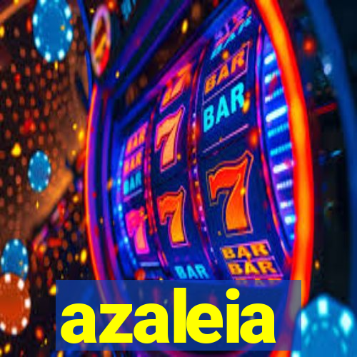 azaleia-br.com