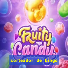 sorteador de bingo 90 bolas online