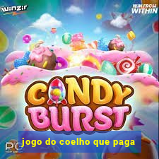 jogo do coelho que paga