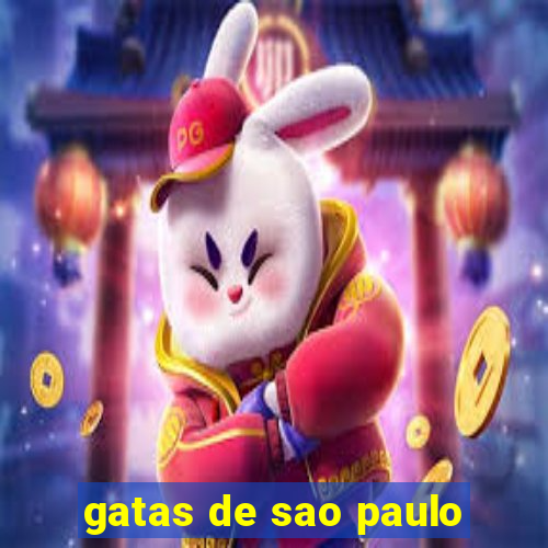 gatas de sao paulo