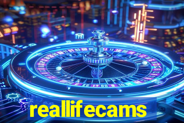 reallifecams